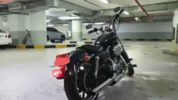 2014 Harley-Davidson Iron 883 (XL883N)