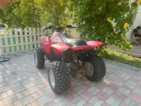 2009 Polaris Trail Blazer 330