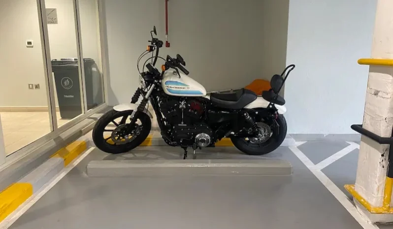 
								2019 Harley-Davidson Iron 1200 (XL1200NS) full									