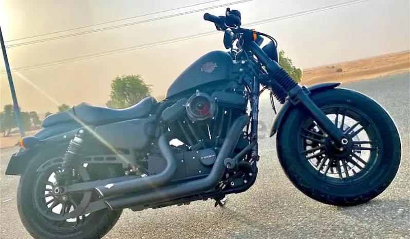 2018 Harley-Davidson Forty-Eight (XL1200X)