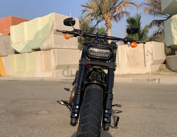
								2021 Harley-Davidson Fat Bob 114 (FXFBS) full									