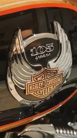 
										2008 Harley-Davidson Sportster 1200 Custom 105th Anv (XL1200CANV) full									