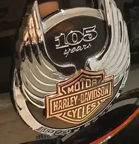 
								2008 Harley-Davidson Sportster 1200 Custom 105th Anv (XL1200CANV) full									