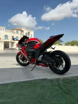 
										2019 Honda CBR1000RR Fireblade full									