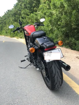 
										2020 Harley-Davidson Roadster (XL1200CX) full									