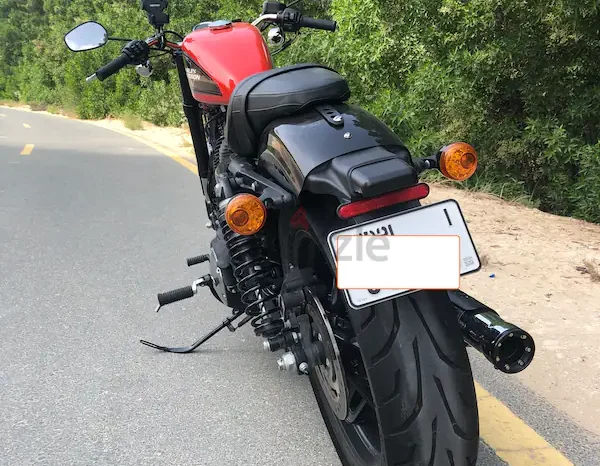 
								2020 Harley-Davidson Roadster (XL1200CX) full									