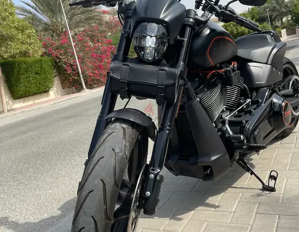 
								2019 Harley-Davidson FXDR 114 (FXDRS) full									