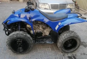 2010 Yamaha Grizzly 350 4×2 Auto (YFM350A)