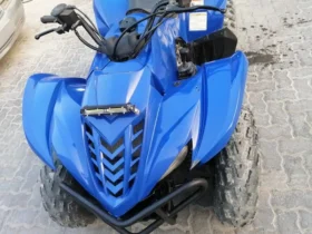 2010 Yamaha Grizzly 350 4×2 Auto (YFM350A)