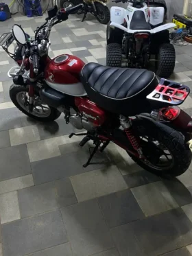 2020 Honda Monkey 125 (Z125MAK)