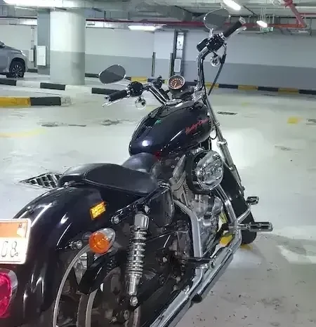 
								2014 Harley-Davidson Iron 883 (XL883N) full									